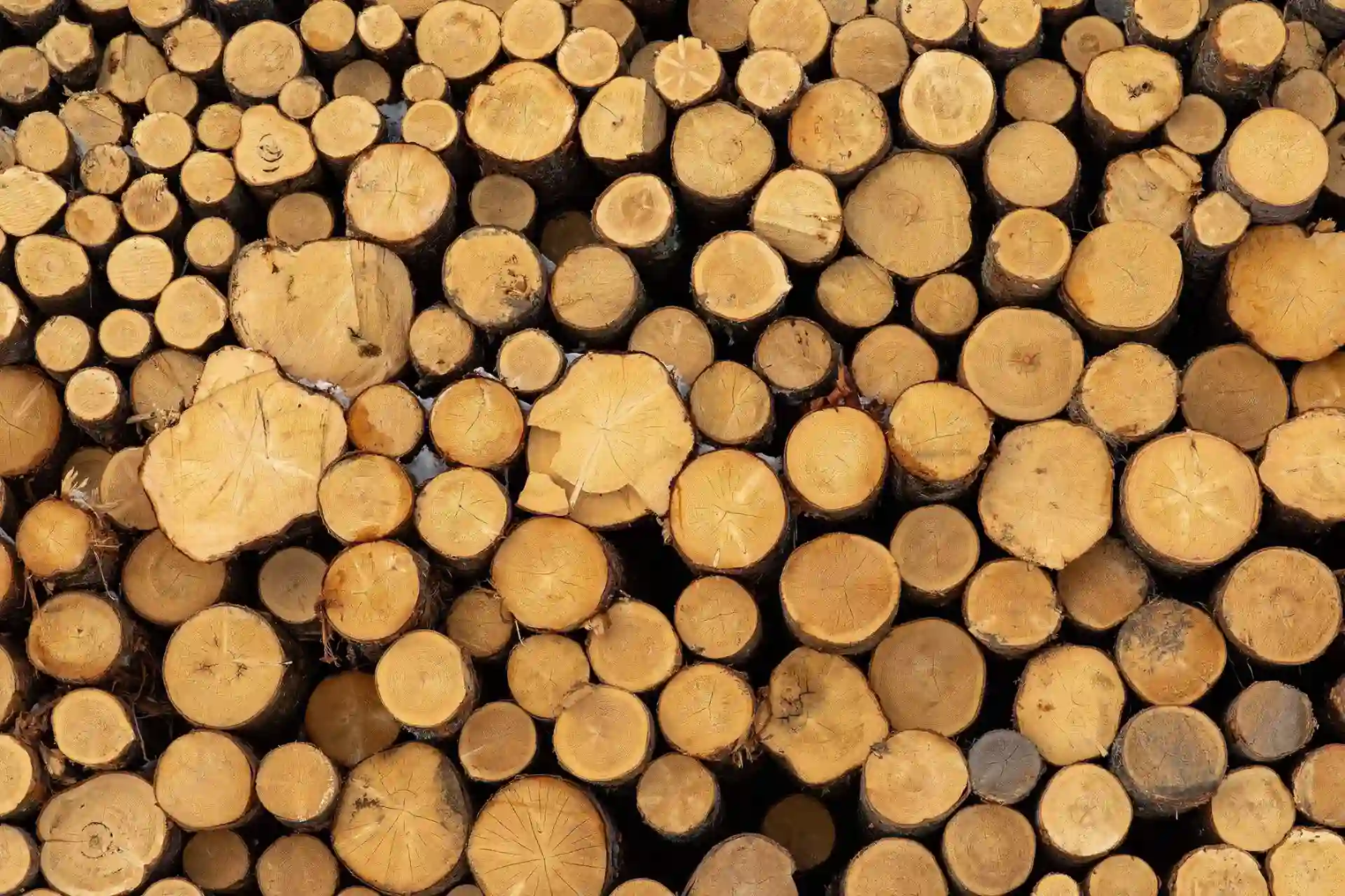 EFFECTO développe et en intègre des solutions numériques spécialisées pour augmenter l'efficacité des usines de transformation du bois.